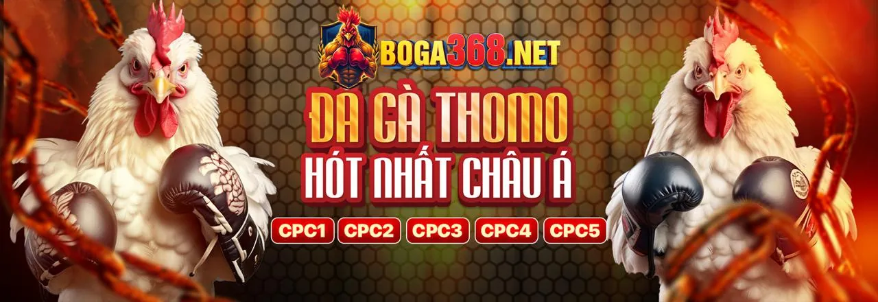 Tỷ lệ cược cao và khuyến mãi hấp dẫn xu66
